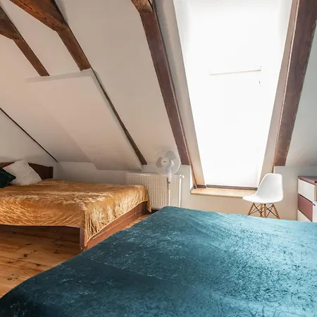 Mansard In Old Town *