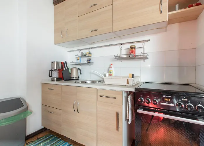 Mansard In Old Town *