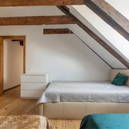 Apartment Mansard In Old Town