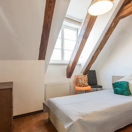 Apartment Mansard In Old Town *
